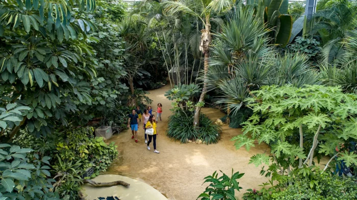 La Serre Tropicale Crédit photo : Terra Botanica