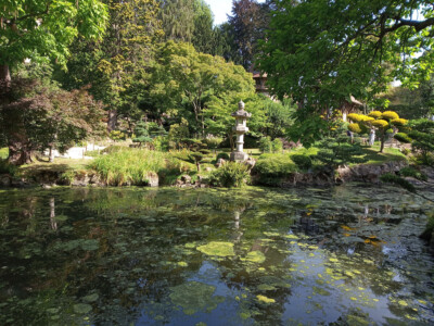 Parc de Maulévrier